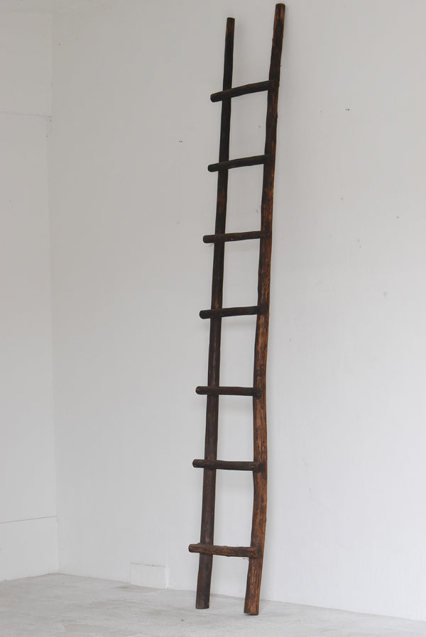 Hashigo - Japanese Cedar Ladder