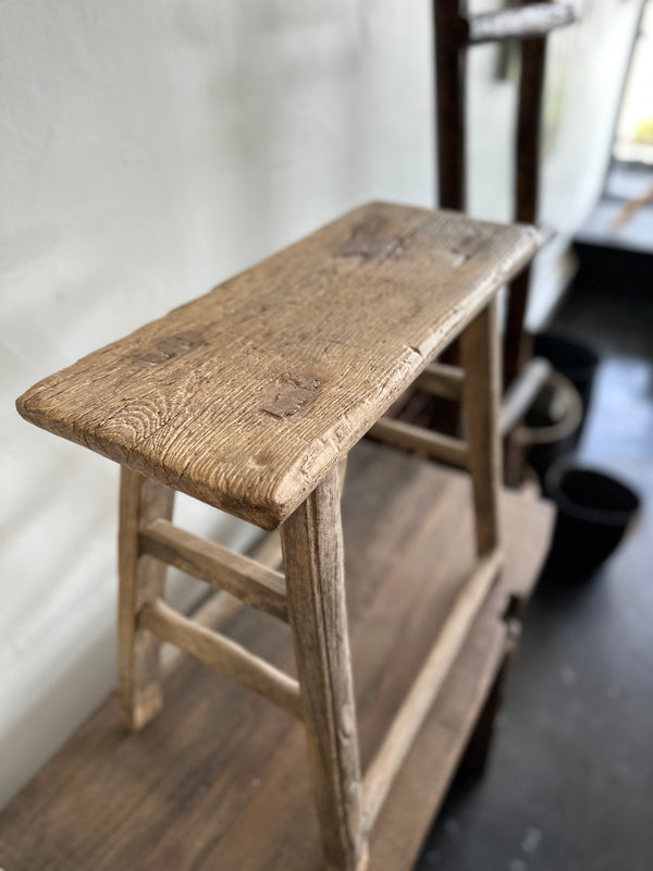 120 year old elm stool large